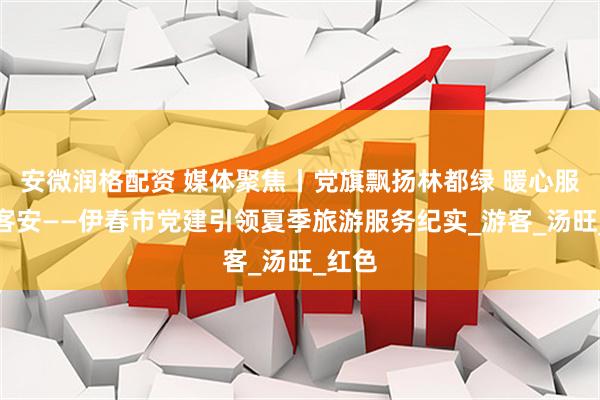 安微润格配资 媒体聚焦丨党旗飘扬林都绿 暖心服务护客安——伊春市党建引领夏季旅游服务纪实_游客_汤旺_红色