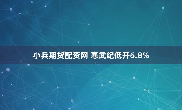 小兵期货配资网 寒武纪低开6.8%