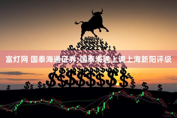 富灯网 国泰海通证券;国泰海通上调上海新阳评级