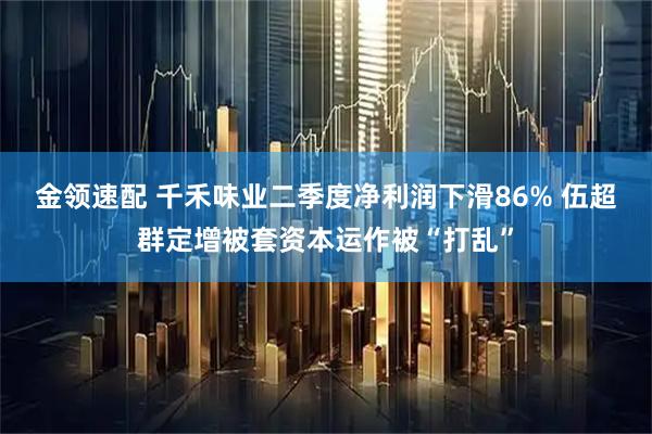 金领速配 千禾味业二季度净利润下滑86% 伍超群定增被套资本运作被“打乱”