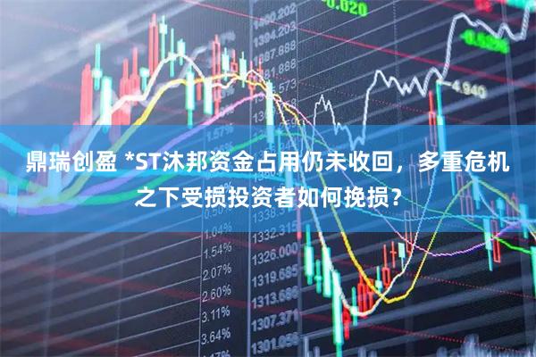 鼎瑞创盈 *ST沐邦资金占用仍未收回，多重危机之下受损投资者如何挽损？