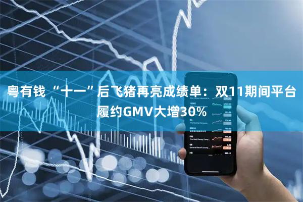 粤有钱 “十一”后飞猪再亮成绩单：双11期间平台履约GMV大增30%